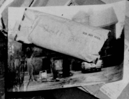 Blow up of Walker Backyard Photo