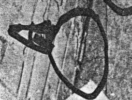 Blow up of Warren Commission Exhibit 510 shows apparent live round