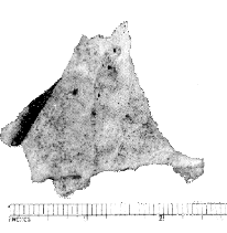 JFK's head wound -- the Harper Fragment