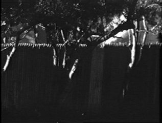 Smoke blown from bellows to simulate smoke from Grassy Knoll shooter