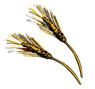 Paul Hoch on the logic of assassination research